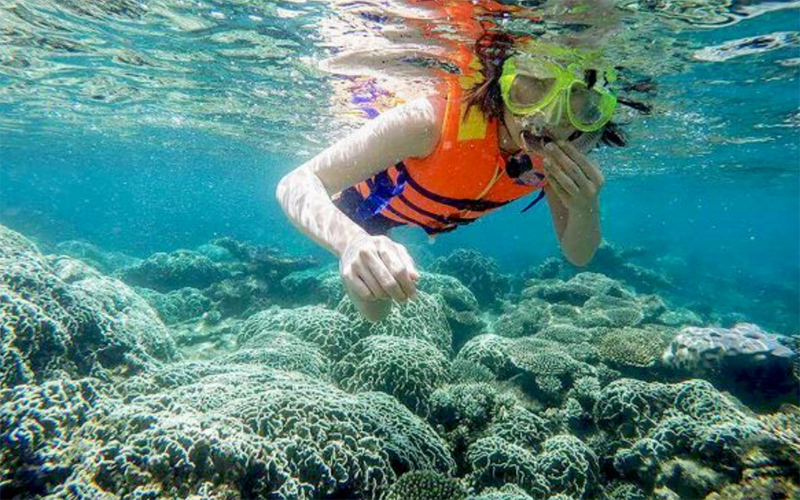 Trải nghiệm hoạt động lặn ngắm san hô ở Ghềnh Bàng